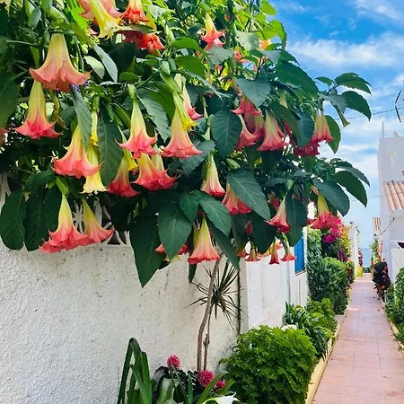 Acogedor Loft En Recinto Privado - Terapia Salada 埃斯特波纳