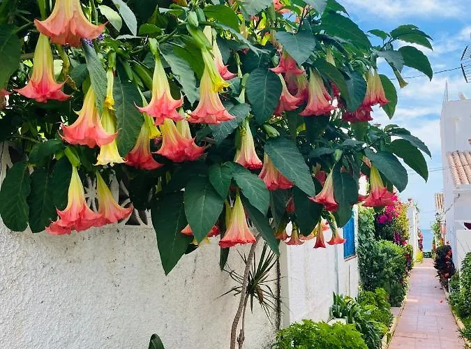 Acogedor Loft En Recinto Privado - Terapia Salada Estepona